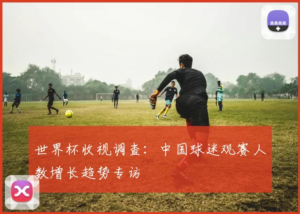 世界杯收视调查：中国球迷观赛人数增长趋势专访